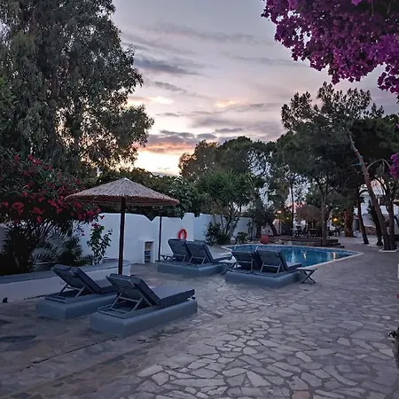 Naxos Summerland