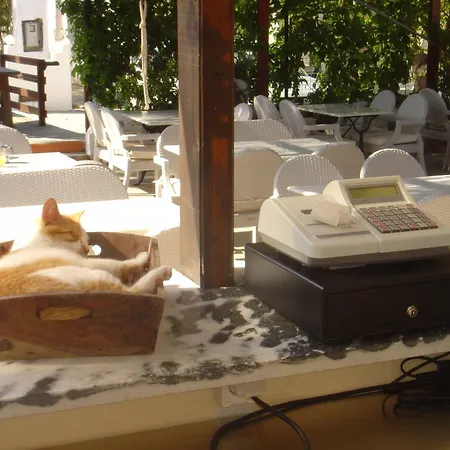 公寓式酒店 Naxos Summerland